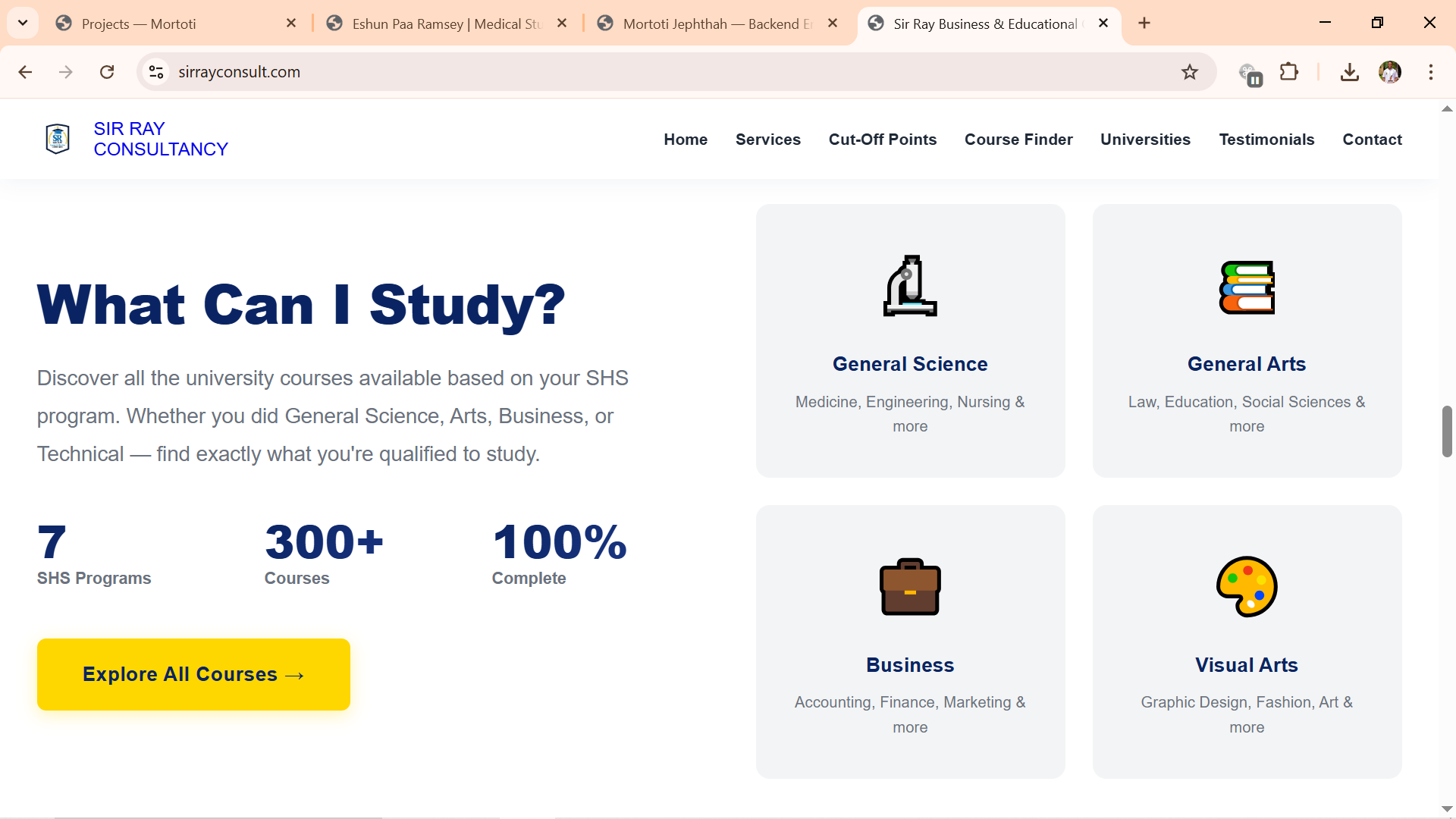 Sir Ray Consultancy Website